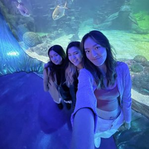 Hui at Sydney aquarium