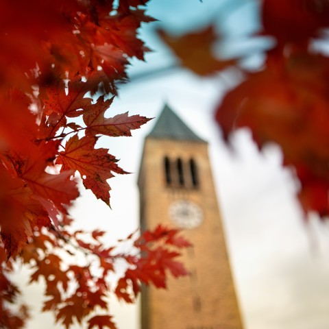 Tower in the fall